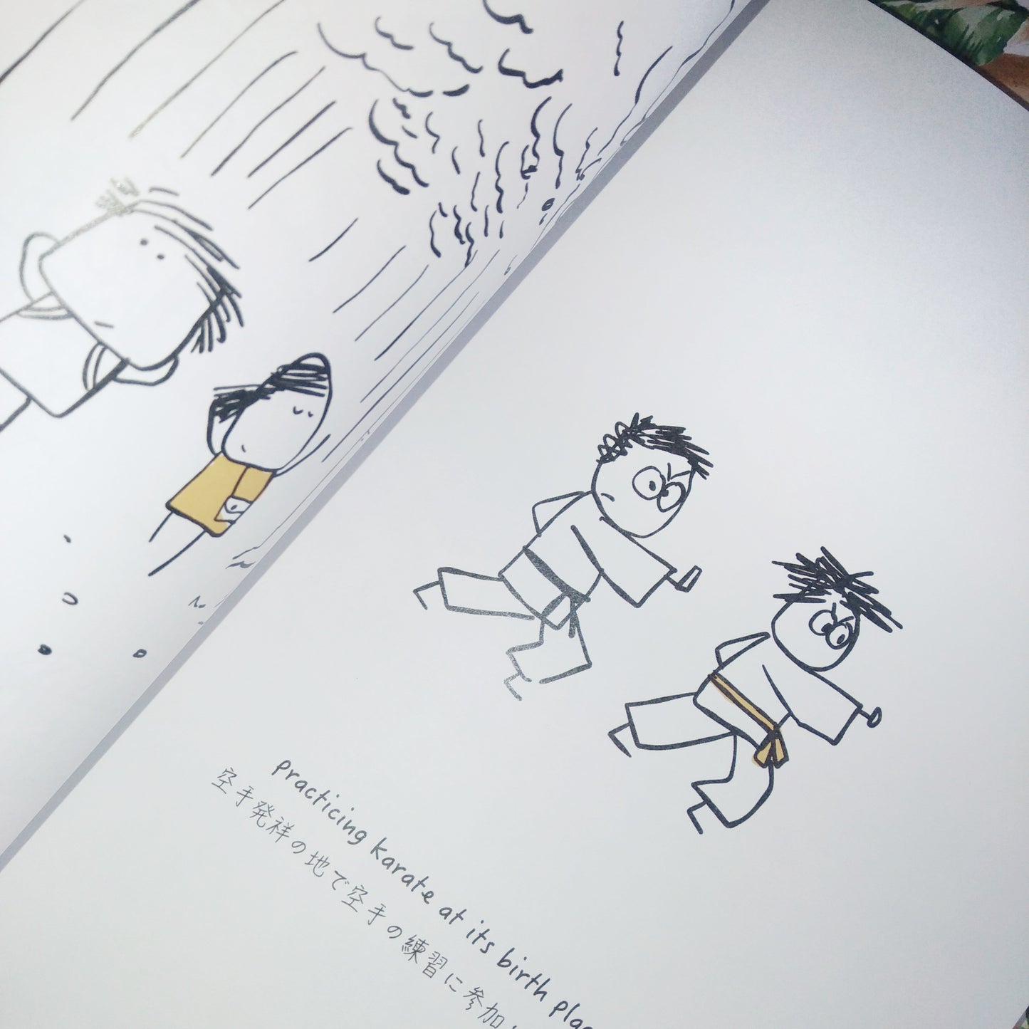 Happiness in Okinawa is... the book