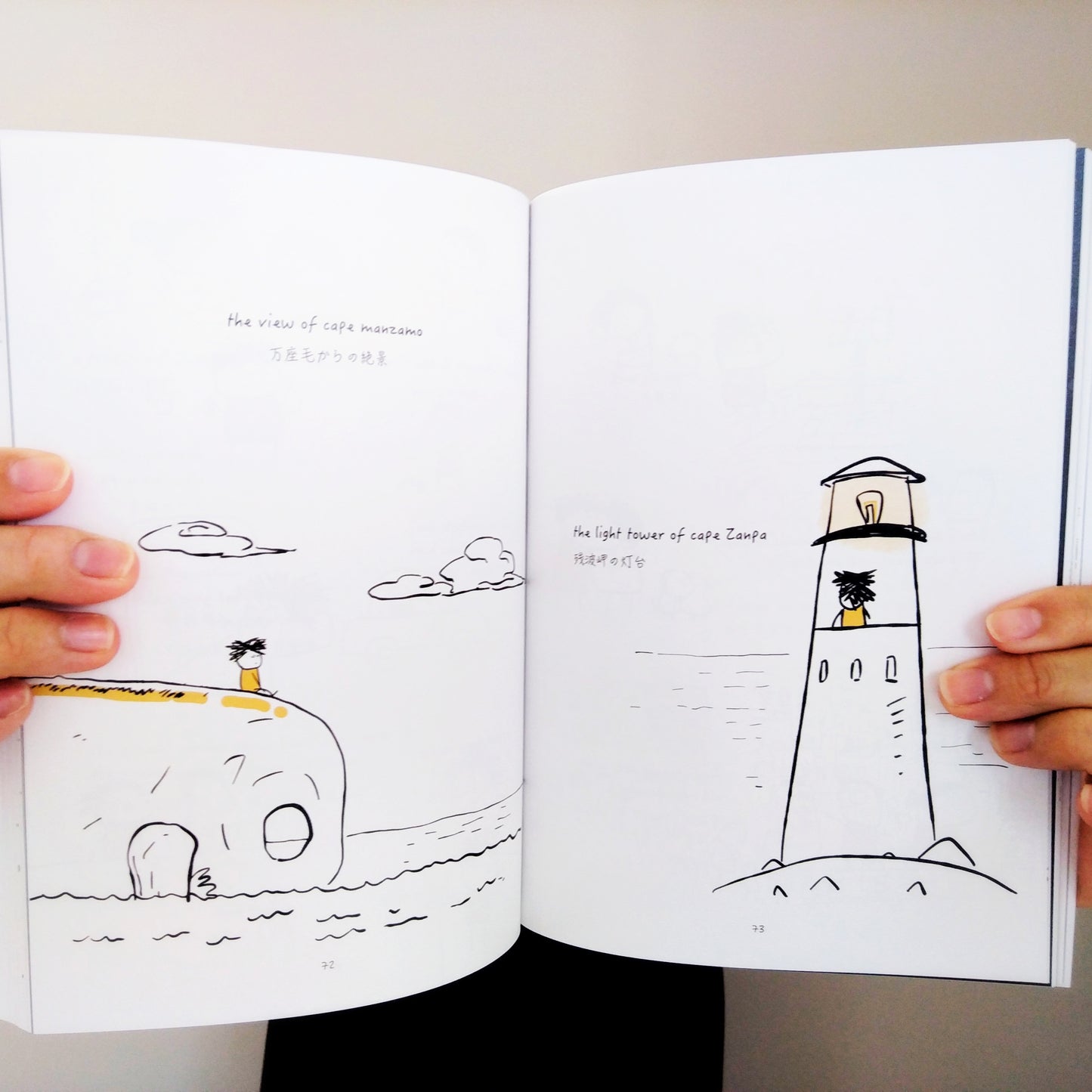 Happiness in Okinawa is... the book